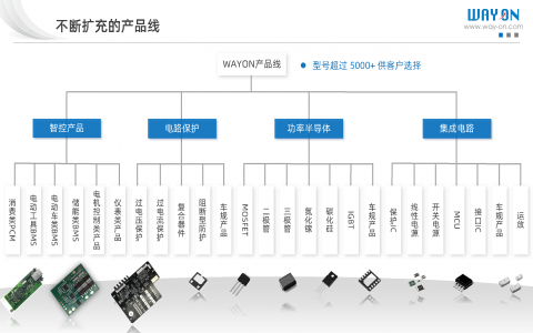 維安產(chǎn)品線(電路保護/功率半導(dǎo)體/IC產(chǎn)品/智控方案)